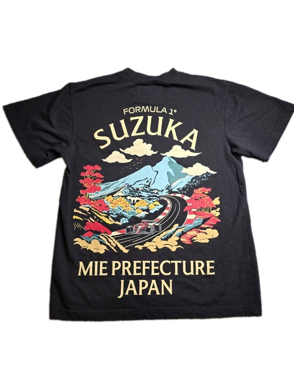 Formula 1 F1 x PacSun Suzuka Japan Touge Graphic T-Shirt Black Mens Small NWOT